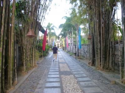 エントランスに続く竹林？