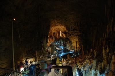 思っていたより広い施設でした