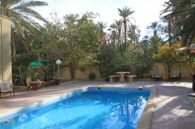 プールの向こうにはナツメヤシ畑