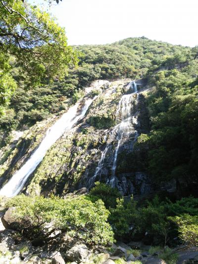 屋久島　自然ドライブ