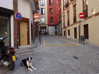 大通りから見て突き当りがホテルです