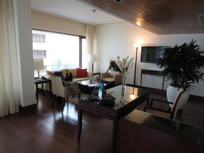 リビングルームのソファとビジネスデスク