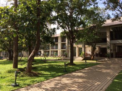 緑溢れる敷地内