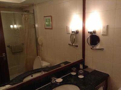 残念ながらバスタブはありませんでした。