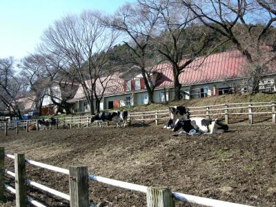 宮ヶ瀬ダムから近い