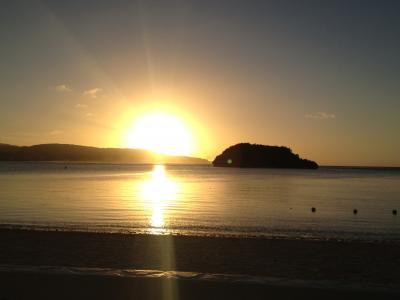 三世代もたくさんいたよ