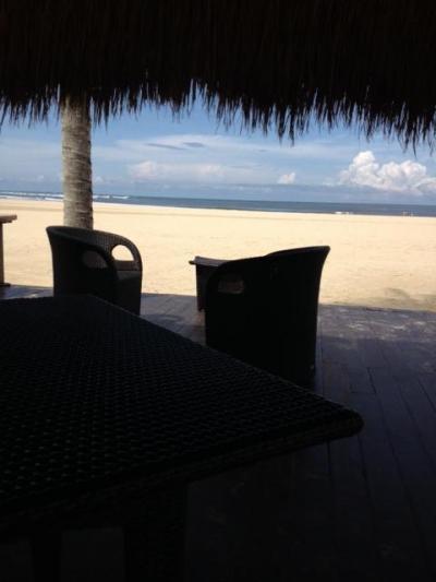 家族連れにぴったり。海+オランウータンが楽しめます