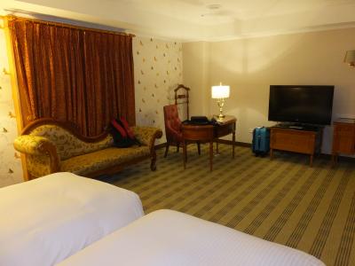 大型液晶テレビもありますが、カーテンを開けても窓が無い部屋