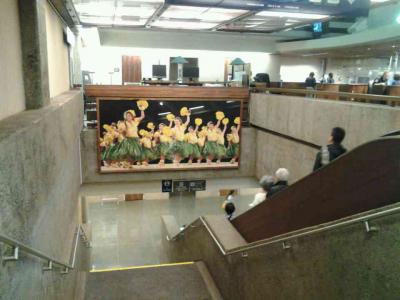 ホノルル空港の入国審査は日本語でOK!