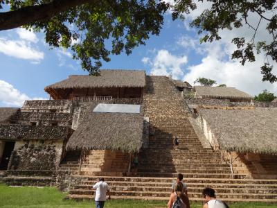 見渡す限り緑の大地