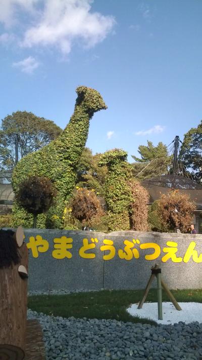 素敵な動物園です