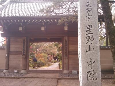 裏通りにひっそりとあります