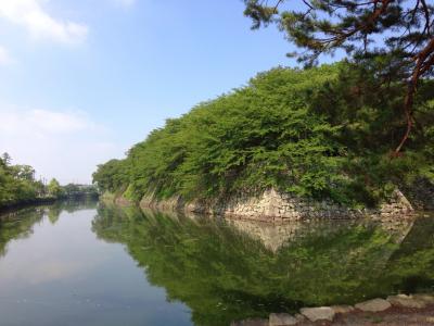 ひこにゃんだけじゃない、日本に４つしかない国宝天守。