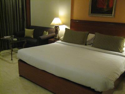 一人なので、ダブルベッドだったのだと思います。