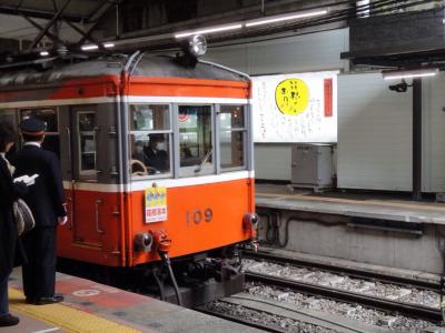 観光を楽しめる電車