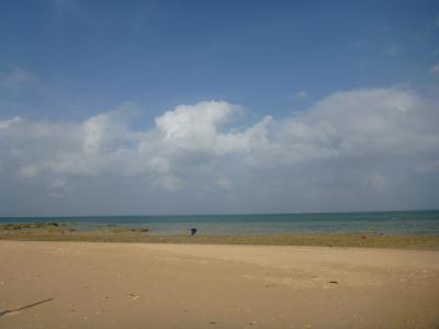 ホテルで楽しめます