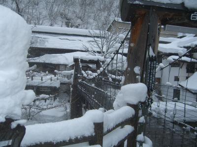 雪景色はキレイでした〜