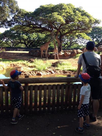 自然豊かな動物園