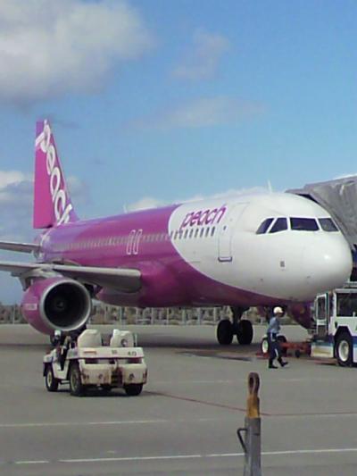 割り切って使えば◎