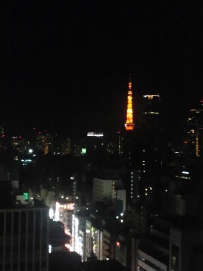 落ち着けるホテルです。