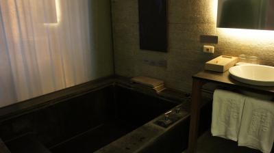 内風呂。左のカーテンの向こうがベッドルーム