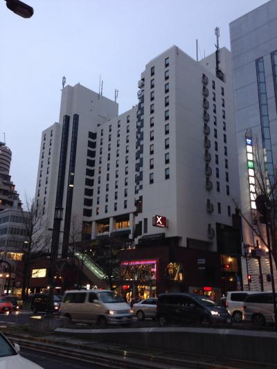 スタイリッシュなシティーホテル