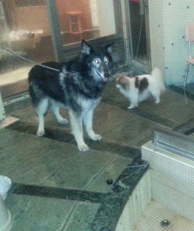 のびのびすごせました