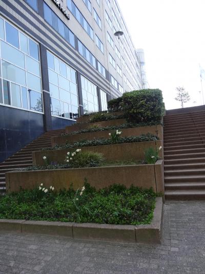 駅から出てこの階段を下りると入口です