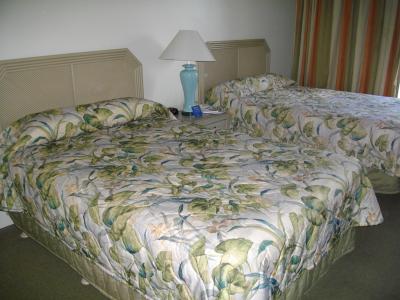 立地が良かったです。