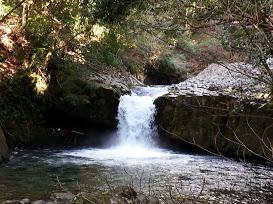 早朝の河津七滝