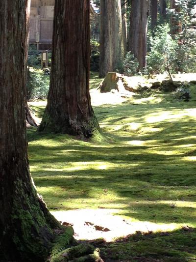京都や奈良にも、このような静かで美しくて歴史を感じる神社はありません。
