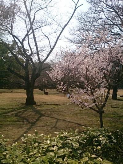 お散歩にちょうど60分コース