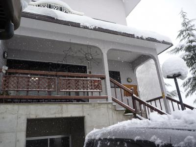 上越バレー・エーデル