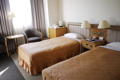 スカイツリー＆ディズニー行きで利用