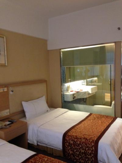 バスルームは鏡張りロールカーテンがある