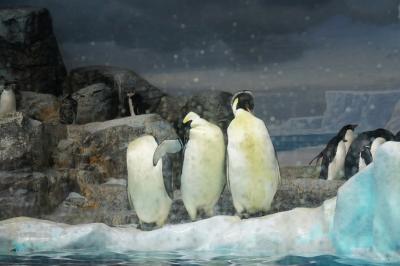 見ごたえ有り！