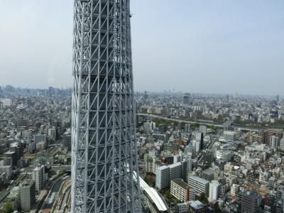 スカイツリー一望！！