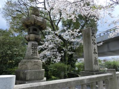 桜が綺麗なお寺でした。