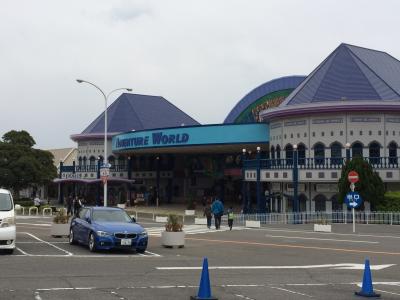 イルカショーが感動