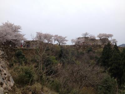 桜の季節の　竹田城