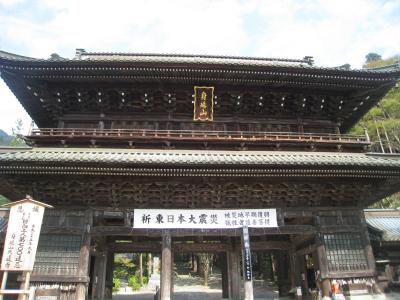 見どころいっぱいです！