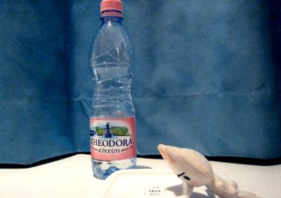 ホテル内で購入したお水。すごくマズかった。