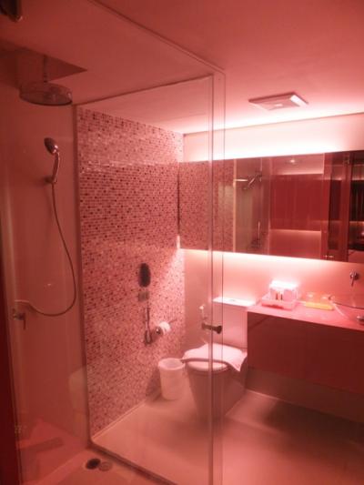 ピンク・・・。他の色もあるようですが、これではラブホみたい。