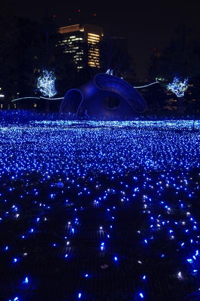 夜景が綺麗