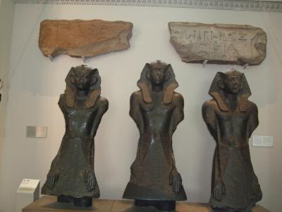 展示物を買って帰れる？