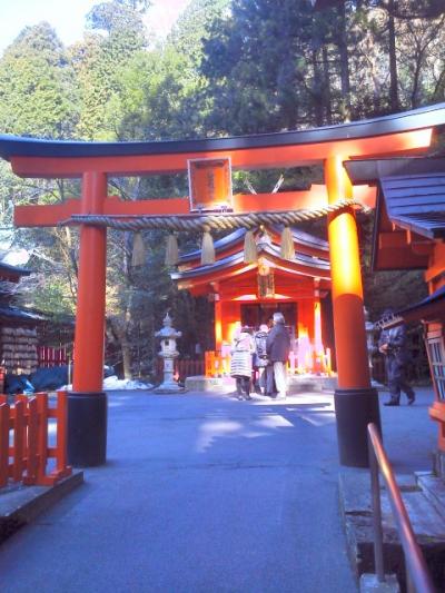 箱根神社の横