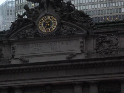 新鮮なカキが最高です。