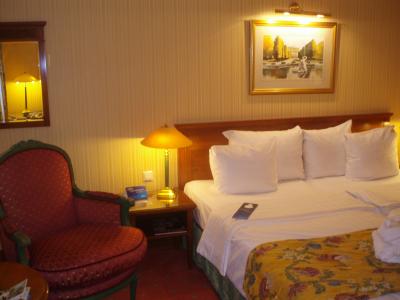 アップグレードしてくれた部屋です。