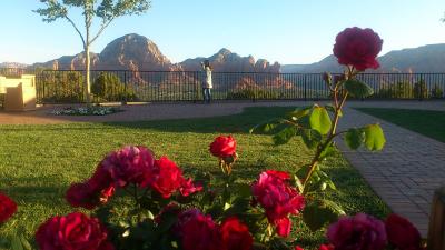 ホテルのテラス