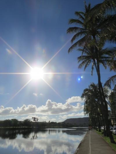 のんびり散歩～